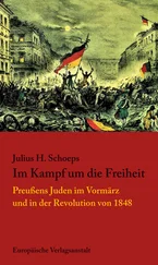 Julius H. Schoeps - Im Kampf um die Freiheit