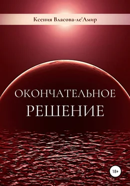 Ксения Власова-ле'Амир Окончательное решение обложка книги