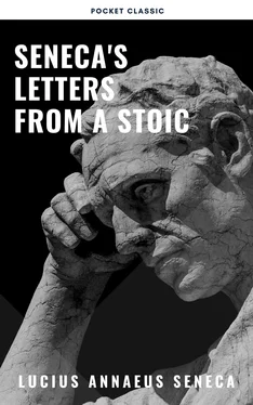 Lucius Seneca Seneca's Letters from a Stoic обложка книги