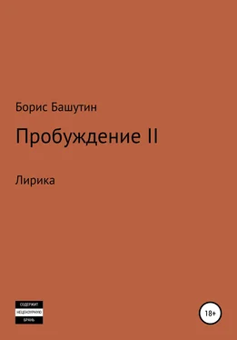 Борис Башутин Пробуждение 2 обложка книги