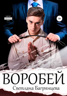 Светлана Багрянцева Воробей обложка книги