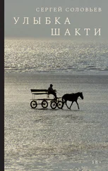 Сергей Соловьев - Улыбка Шакти - Роман