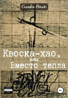 Слава Волк Квоска-хао, или Вместо тепла обложка книги