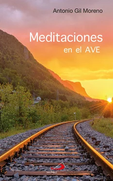 Antonio Gil Moreno Meditaciones en el AVE обложка книги