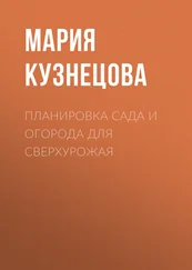 Мария Кузнецова - Планировка сада и огорода для сверхурожая
