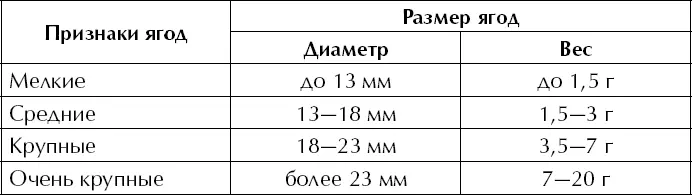 2 Разнообразны ягоды и по форме рис 10 3 Многообразны виноградные ягоды - фото 12