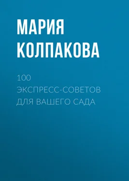 Мария Колпакова 100 экспресс-советов для вашего сада обложка книги