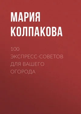 Мария Колпакова 100 экспресс-советов для вашего огорода обложка книги