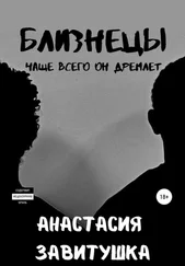 Анастасия Завитушка - Близнецы