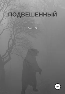 Ваннес Подвешенный обложка книги