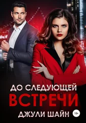 Джули Шайн - До следующей встречи