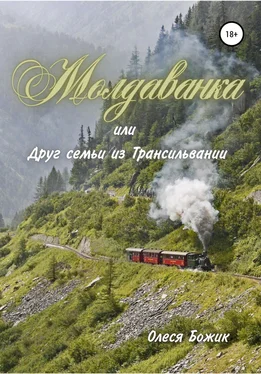 Олеся Божик Молдаванка, или Друг семьи из Трансильвании обложка книги