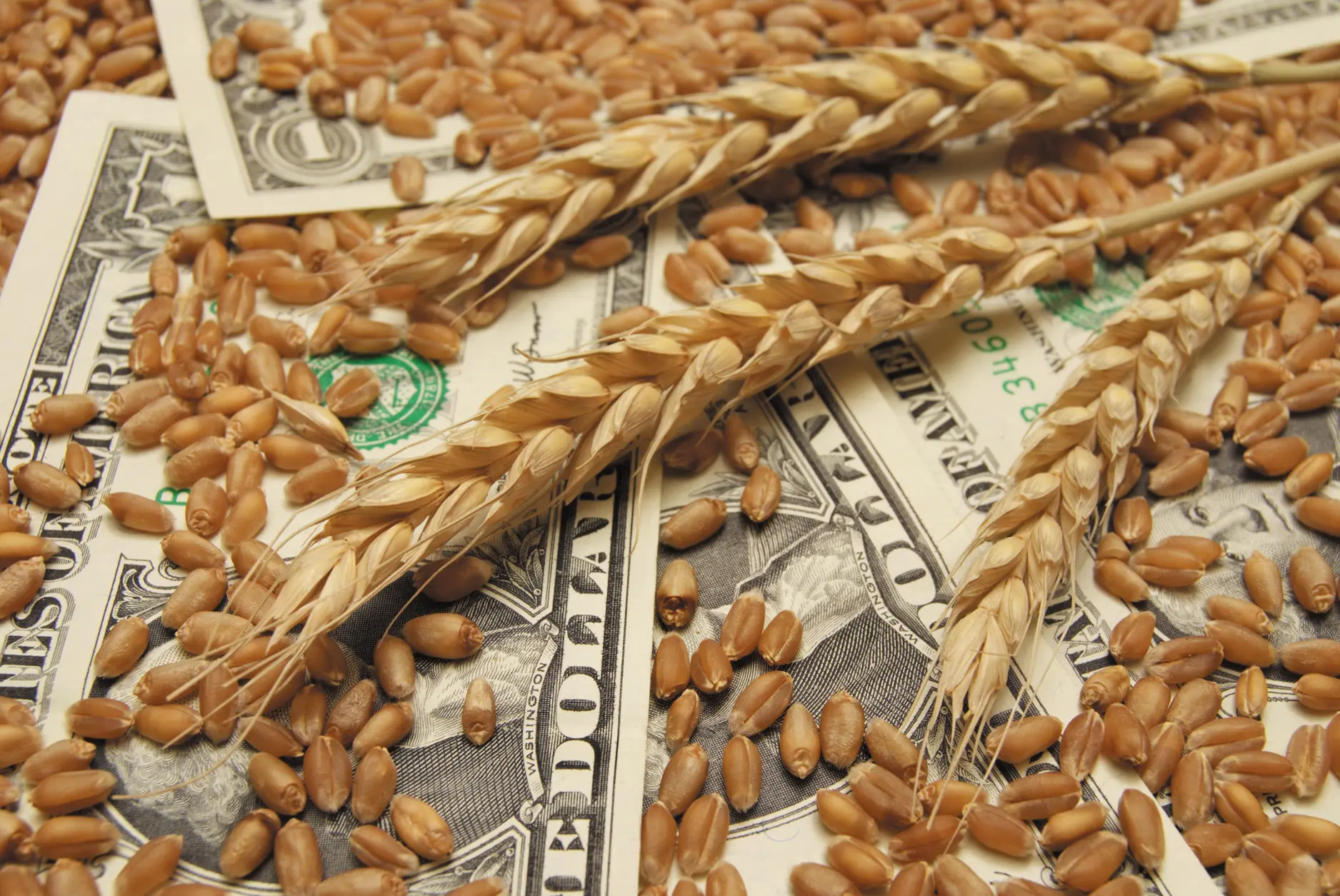 Source simaShutterstock Chapter Menu The Bet Managing Environmental Bads - фото 12
