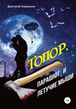 Дмитрий Каюшкин Топор, парашют и летучие мыши обложка книги