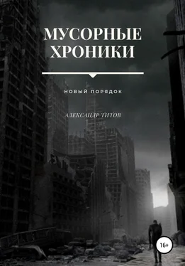 Александр Титов Мусорные хроники. Новый порядок обложка книги