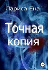 Лариса Ена - Точная копия