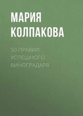 Мария Колпакова 50 правил успешного виноградаря обложка книги