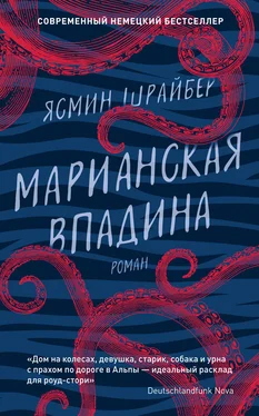 Ясмин Шрайбер Марианская впадина обложка книги