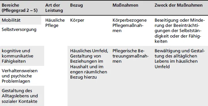 Bereiche Pflegegrad 2 5Art der LeistungBezugMaßnahmenZweck der Maßnahmen - фото 21