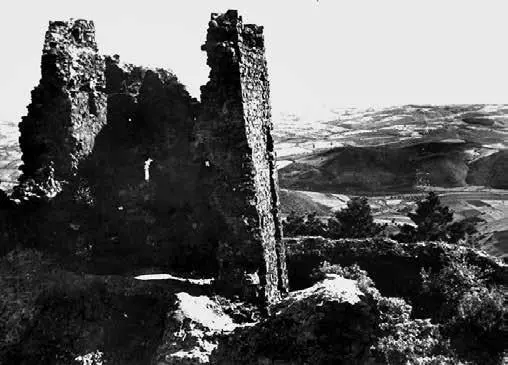 Крепость Жрнов на Авале 1930е Лишь одна тяжёлая ветвь раскидистой сирени - фото 11