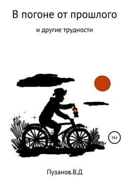 Виталий Пузанов В погоне от прошлого обложка книги