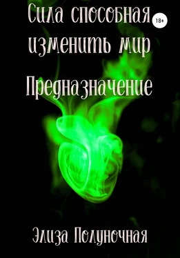 Элиза Полуночная Сила способная изменить мир. Предназначение обложка книги