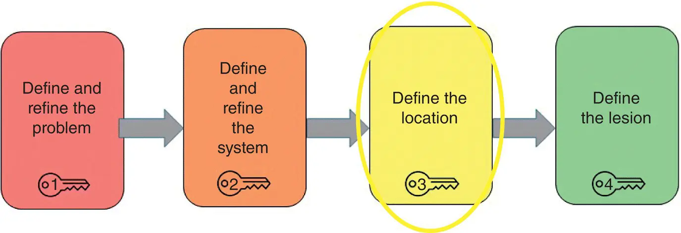 Figure 25Clinical reasoning stepbystep define the location Define the - фото 14