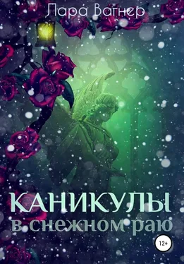 Лара Вагнер Каникулы в снежном раю обложка книги