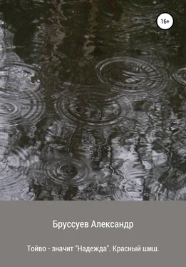 Александр Бруссуев Тойво – значит надежда. Красный шиш обложка книги