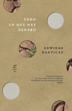 Edwidge Danticat Todo lo que hay dentro обложка книги