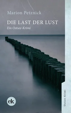 Marion Petznick Die Last der Lust обложка книги