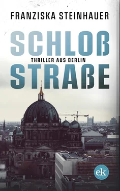 Franziska Steinhauer Schloßstraße обложка книги