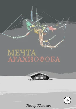 Надир Юматов Мечта арахнофоба обложка книги