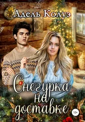 Адель Колуэ - Снегурка на доставке