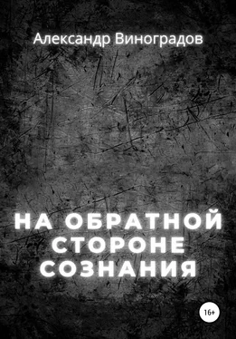 Александр Виноградов На обратной стороне сознания обложка книги