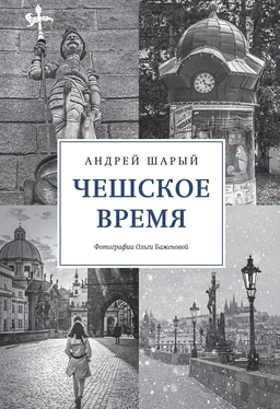 Андрей Шарый Чешское время. Большая история маленькой страны: от святого Вацлава до Вацлава Гавела обложка книги