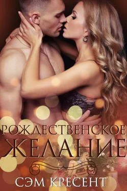 Сэм Кресент Рождественское желание обложка книги