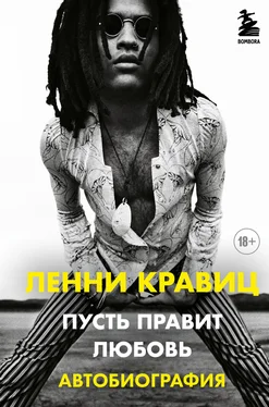 Ленни Кравиц Пусть правит любовь. Автобиография обложка книги