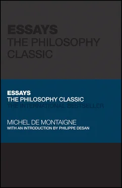 Michel de Montaigne Essays обложка книги