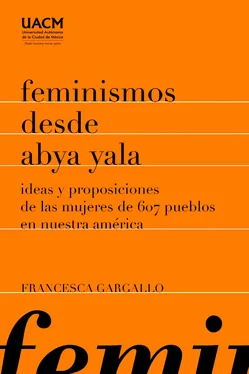 Francesca Gargallo Celentani Feminismos desde Abya Yala обложка книги