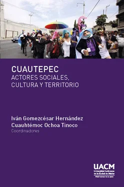 Iván Gomezcésar Hernández Cuautepec. Actores sociales, cultura y territorio обложка книги