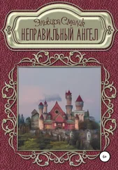 Эльвира Смелик - Неправильный ангел