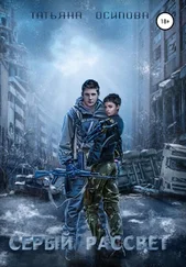 Татьяна Осипова - Серый рассвет
