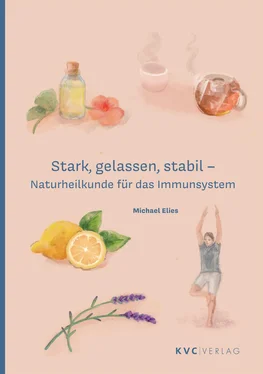 Michael Elies Stark, gelassen, stabil обложка книги