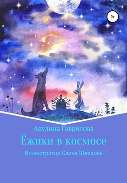 Акулина Гаврилова Ежики в космосе обложка книги