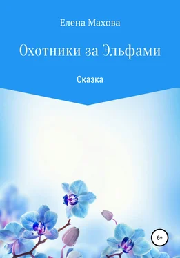 Елена Махова Охотники за эльфами. Сказка обложка книги