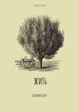 Светлана Гелеч Жить. Сборник рассказов обложка книги