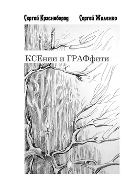 Сергей Жиленко КСЕнии и ГРАФфити. Книжка с картинками обложка книги