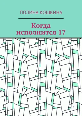 Полина Кошкина Когда исполнится 17 обложка книги