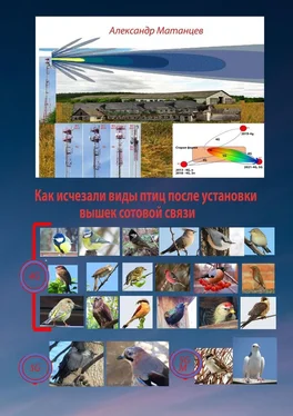 Александр Матанцев Как исчезали виды птиц после установки вышек сотовой связи обложка книги